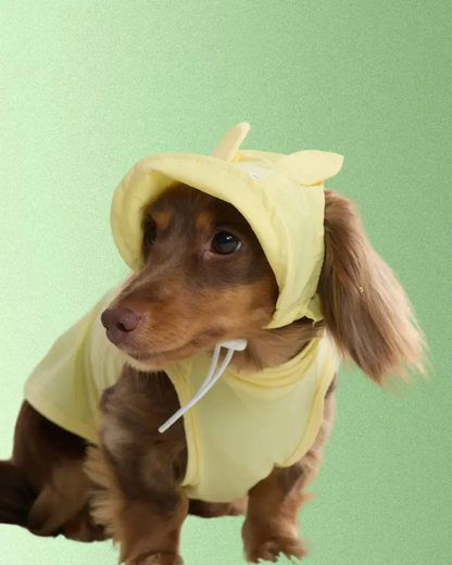 Casquette Lapin - Petit chien