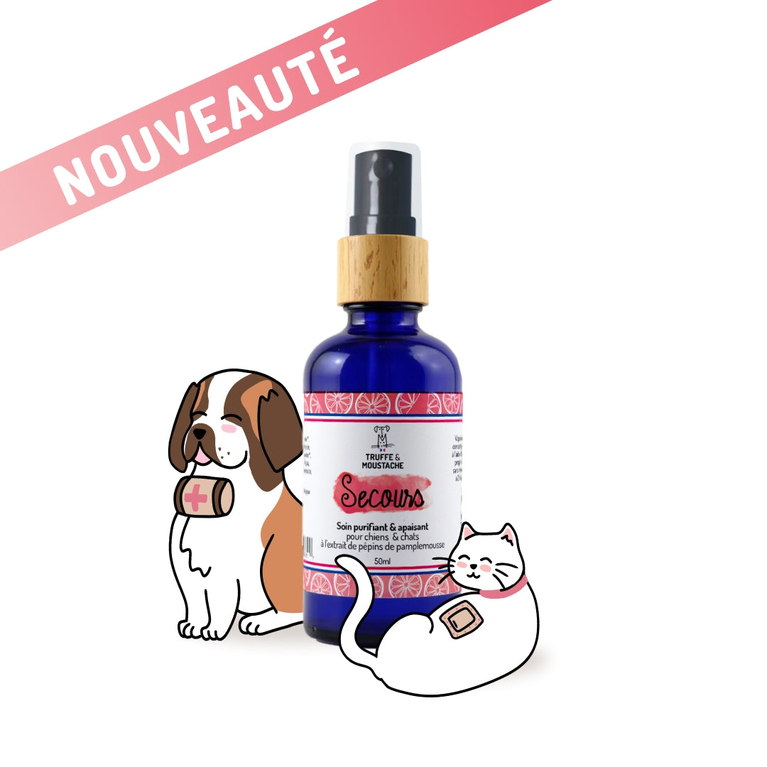 SOIN PURIFIANT ET ANTI-DEMANGEAISONS - Secours