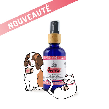 SOIN PURIFIANT ET ANTI-DEMANGEAISONS - Secours