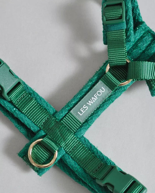 HARNAIS EN TWEED - Vert