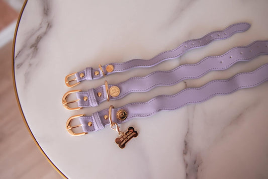 COLLIER WAVY - Lila