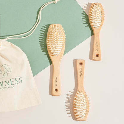 BROSSE EN BOIS POUR CHIENS