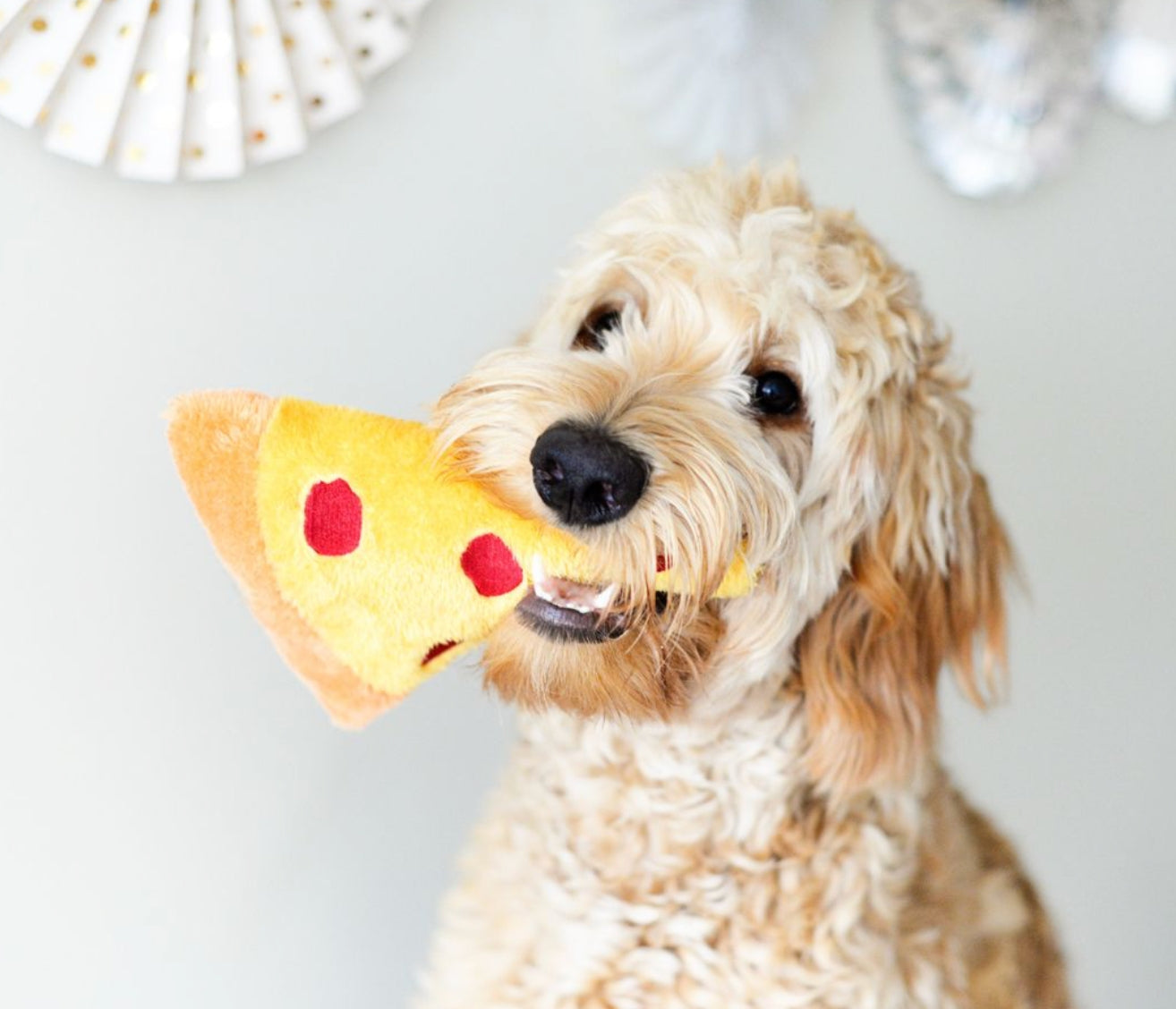 JOUET - Pizza