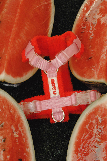 HARNAIS POUR CHIEN SHERPA - Cayu