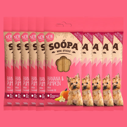 BÂTONNETS DENTAIRES MINI CHIENS - Banane et citrouille