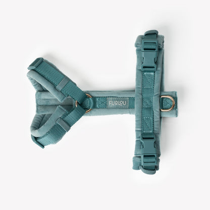 HARNAIS EN VELOURS - Bleu