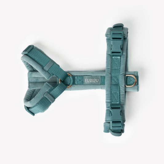 HARNAIS EN VELOURS - Bleu