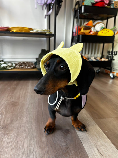 Casquette Lapin - Petit chien