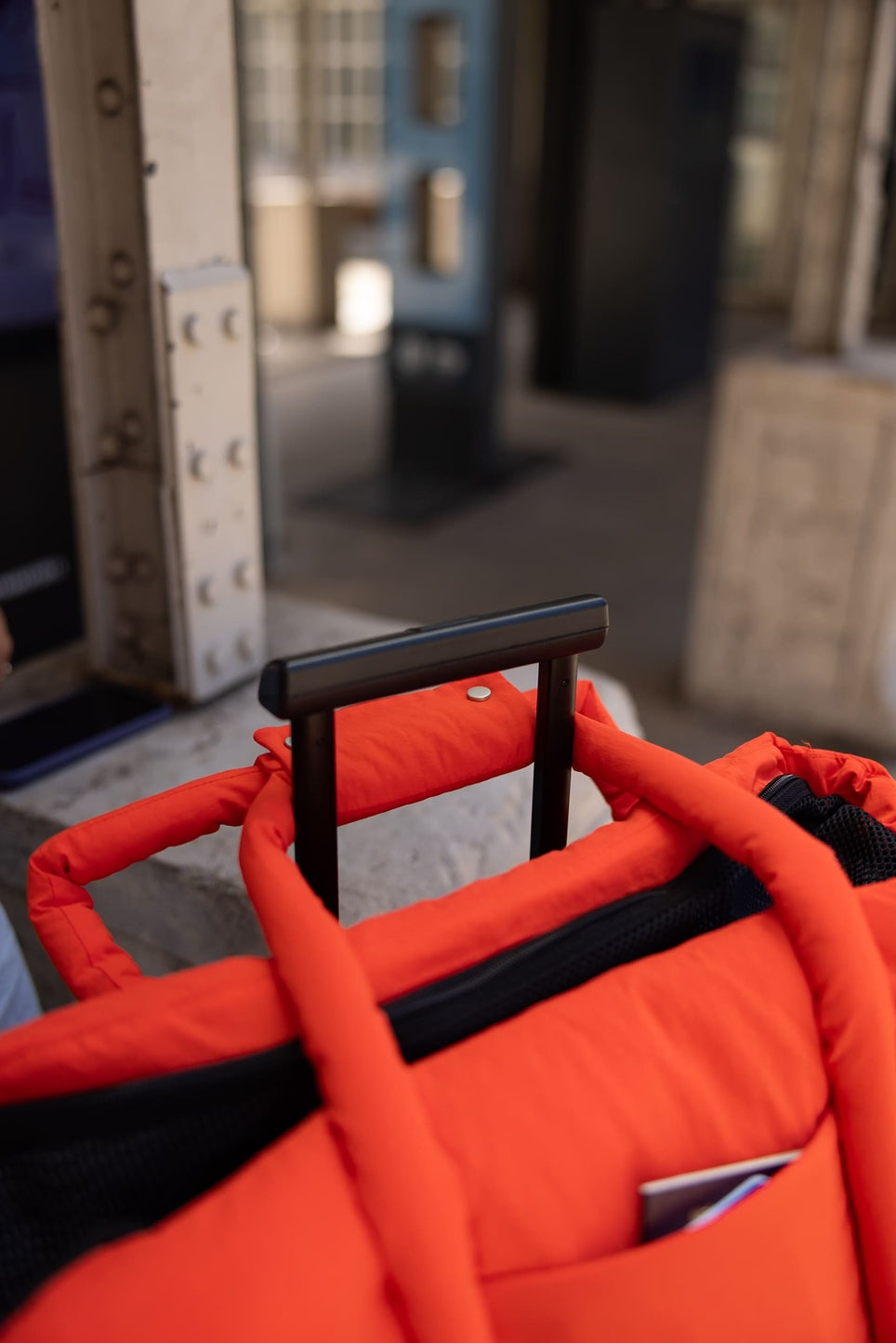 SAC DE VOYAGE POUR CHIENS ET CHATS - Orange