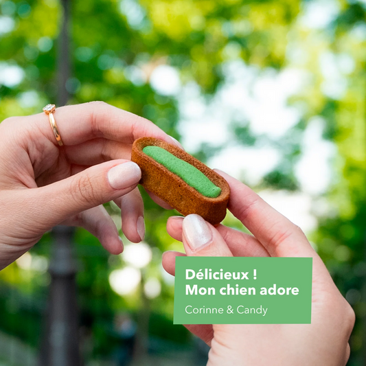 MOELLEUX - Hygiène bucco-dentaire