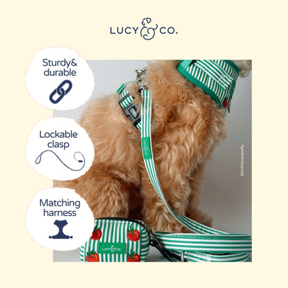 LAISSE POUR CHIEN - Tomate