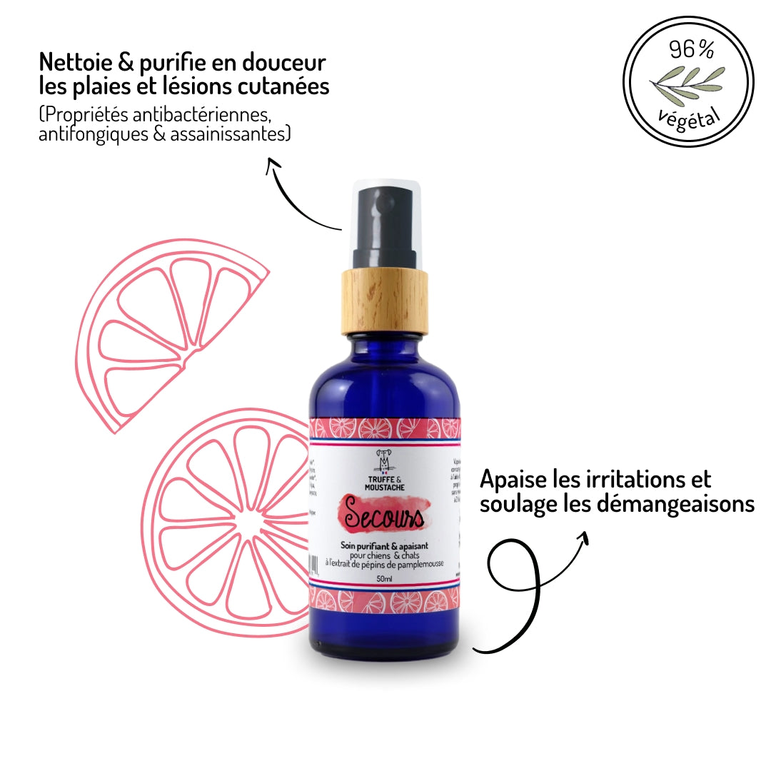SOIN PURIFIANT ET ANTI-DEMANGEAISONS - Secours