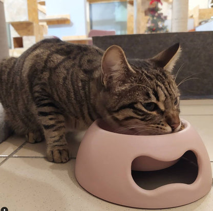 GAMELLE POUR CHIEN ET CHAT - Rose