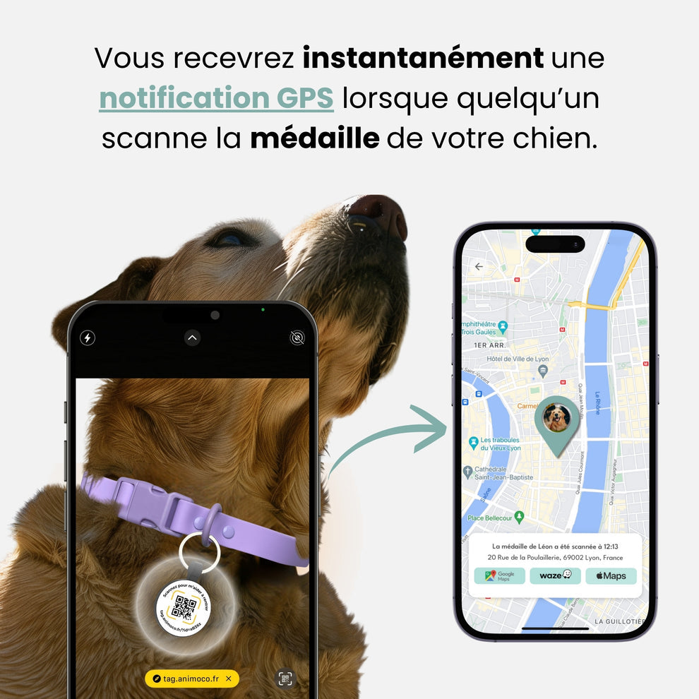 MÉDAILLE CONNECTĖ - Chiens et chats
