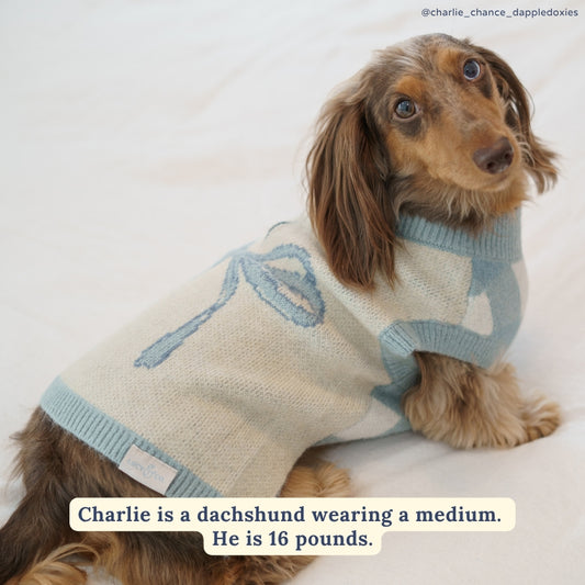 PULL POUR CHIEN ET CHATS - Noeud bleu