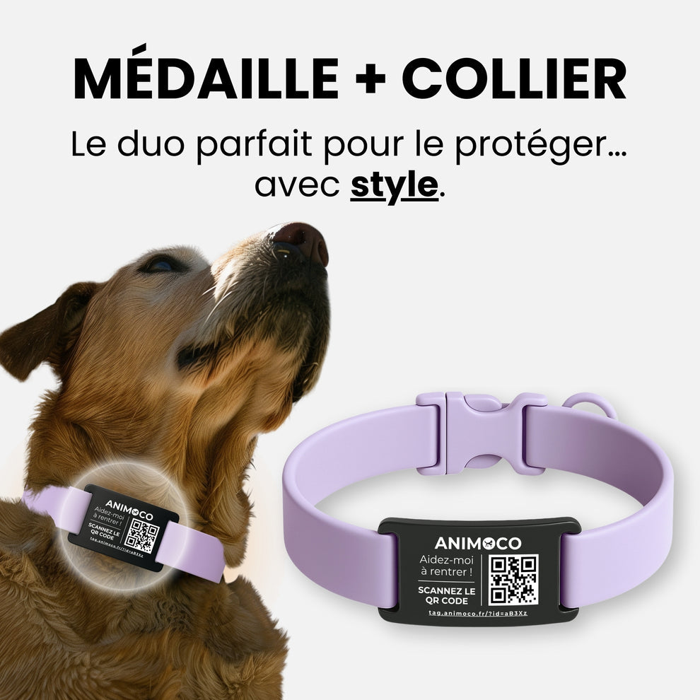 MÉDAILLE CONNECTĖ - Chiens et chats