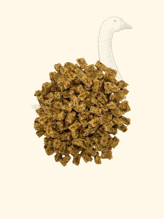 FRIANDISES 100% NATURELLES - Oie