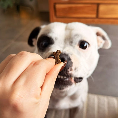 FRIANDISES POUR CHIENS - Relaxante