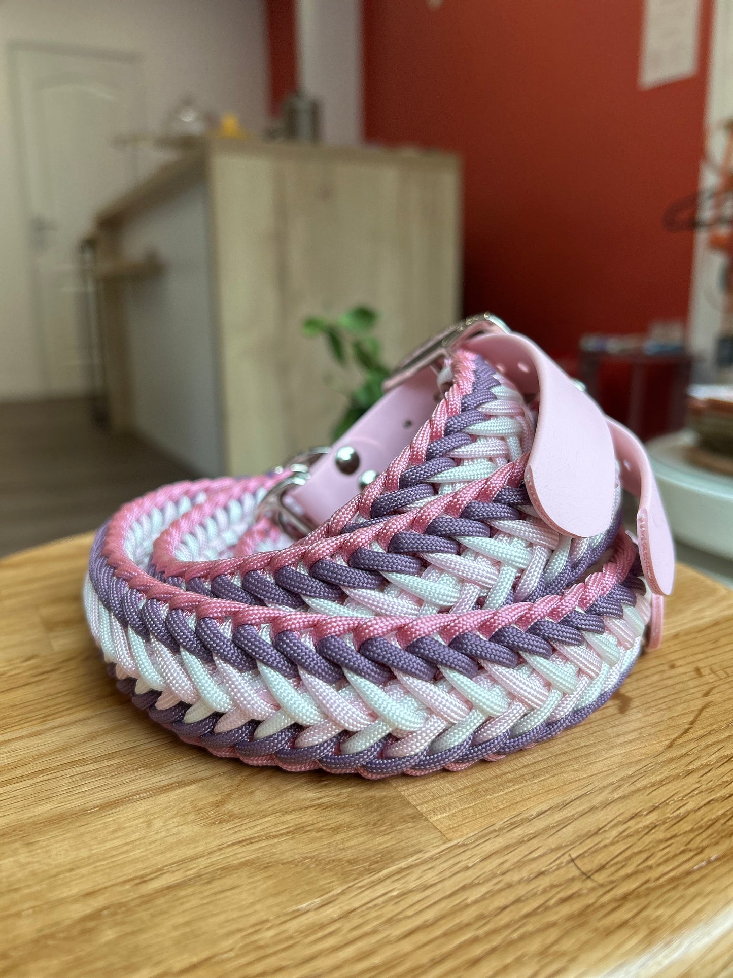 COLLIER POUR CHIEN - Bonnie rose