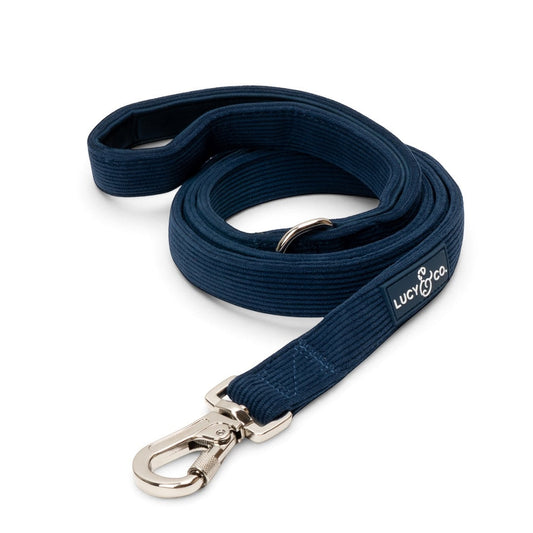 LAISSE VELOUR BLEU