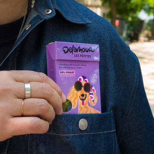 FRIANDISES PÉPITES - Poulet