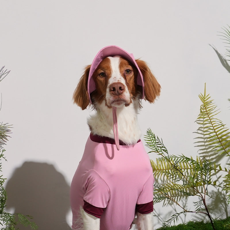 BOB RAFRAÎCHISSANT POUR CHIEN - 3 couleurs