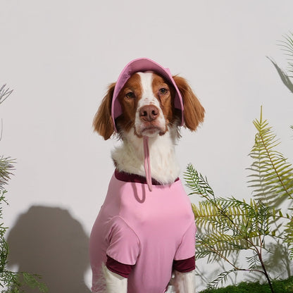 BOB RAFRAÎCHISSANT POUR CHIEN - 3 couleurs