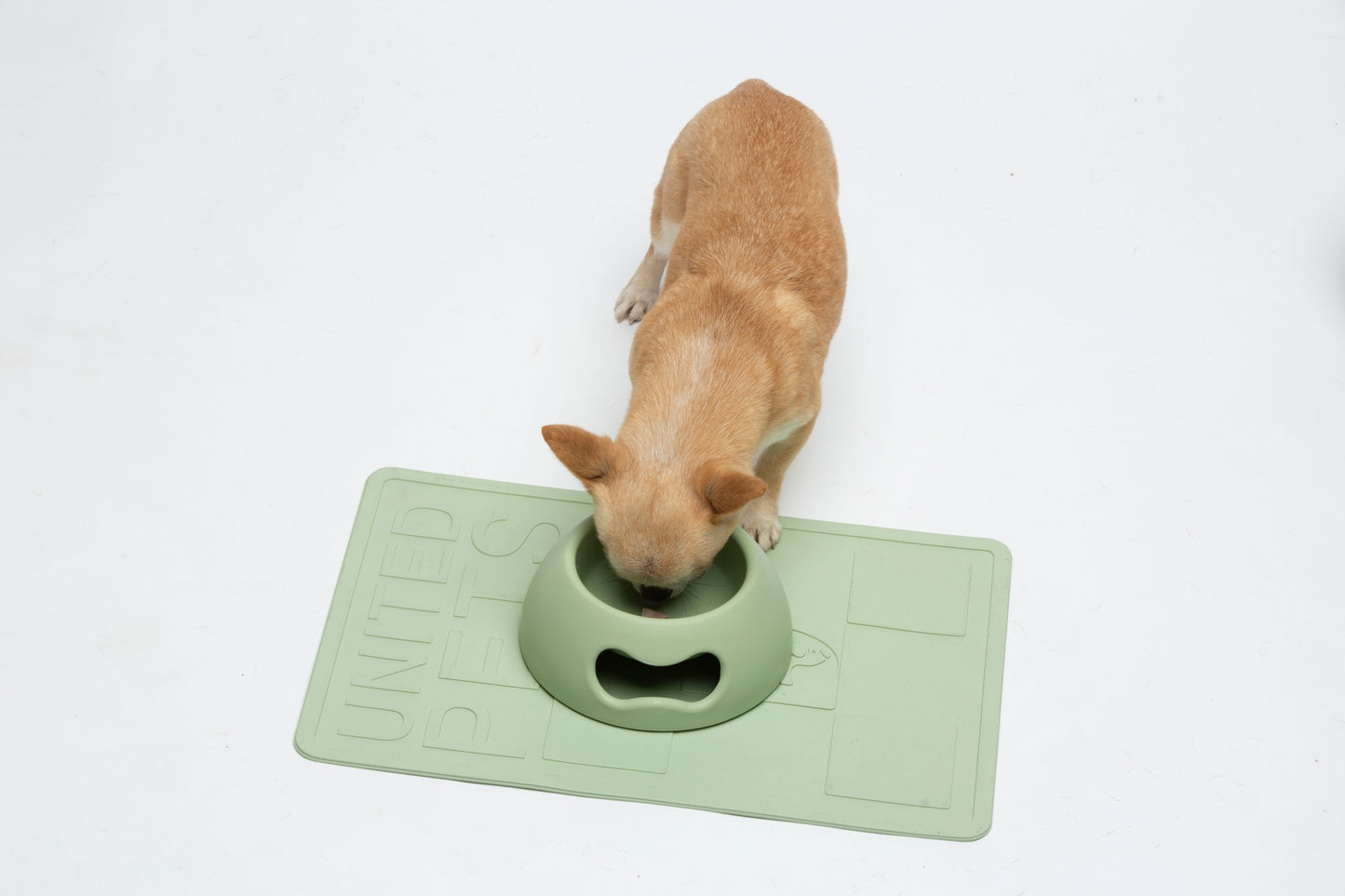 GAMELLE POUR CHIEN ET CHAT - Matcha