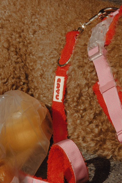 HARNAIS POUR CHIEN SHERPA - Cayu