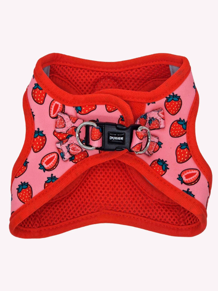 HARNAIS BODY - Fraises
