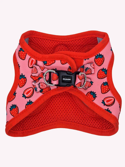 HARNAIS BODY - Fraises