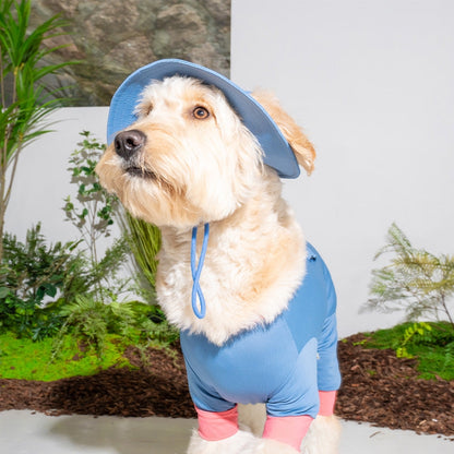 BOB RAFRAÎCHISSANT POUR CHIEN - 3 couleurs