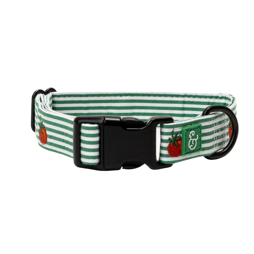 COLLIER POUR CHIEN - Tomate