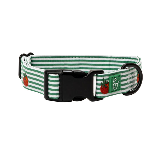 COLLIER POUR CHIEN - Tomate