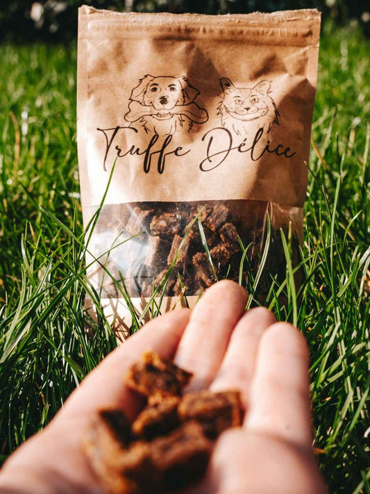 FRIANDISES 100% NATURELLES - Sanglier