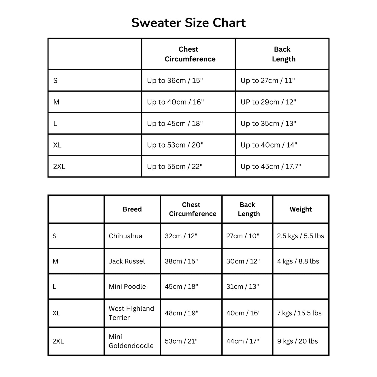 PULL DOUX PETIT CHIEN - Nuage