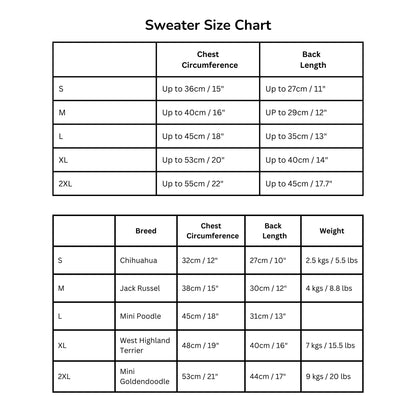 PULL DOUX PETIT CHIEN - Nuage