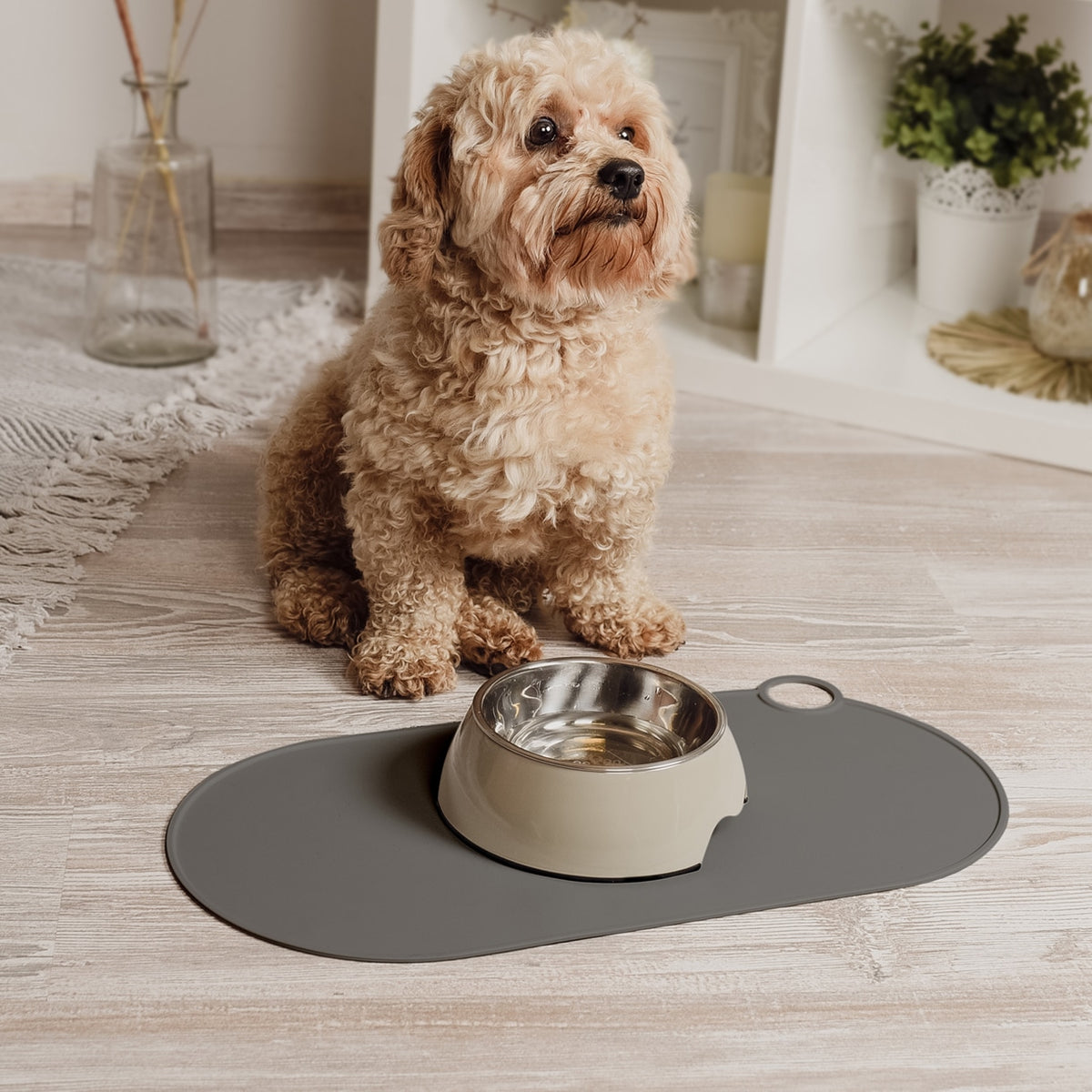 TAPIS REPAS - Chiens et chats