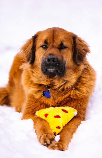 JOUET - Pizza