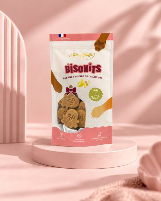 BISCUIT POUR CHIENS FANTÔME - Banane et beurre de cacahuète