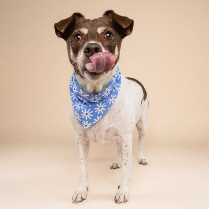 BANDANA - Lyla flower