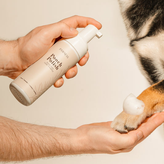 SHAMPOING SANS RINÇAGE POUR CHIENS