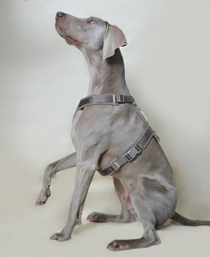 HARNAIS EN TWEED - Taupe