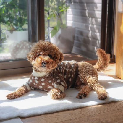 PULL DOUX PETIT CHIEN - Nuage