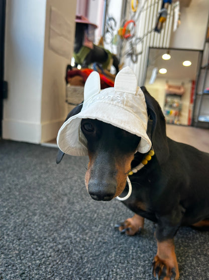 Casquette Lapin - Petit chien