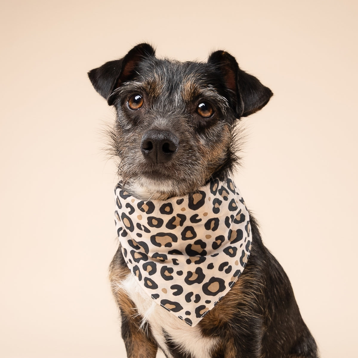 BANDANA - Léopard
