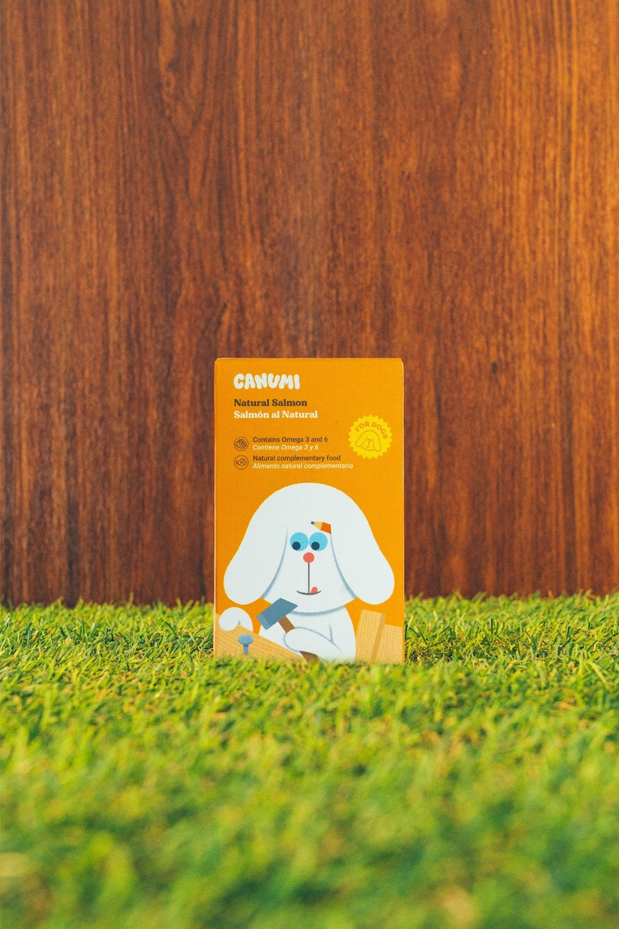 SAUMON NATUREL - Chiens