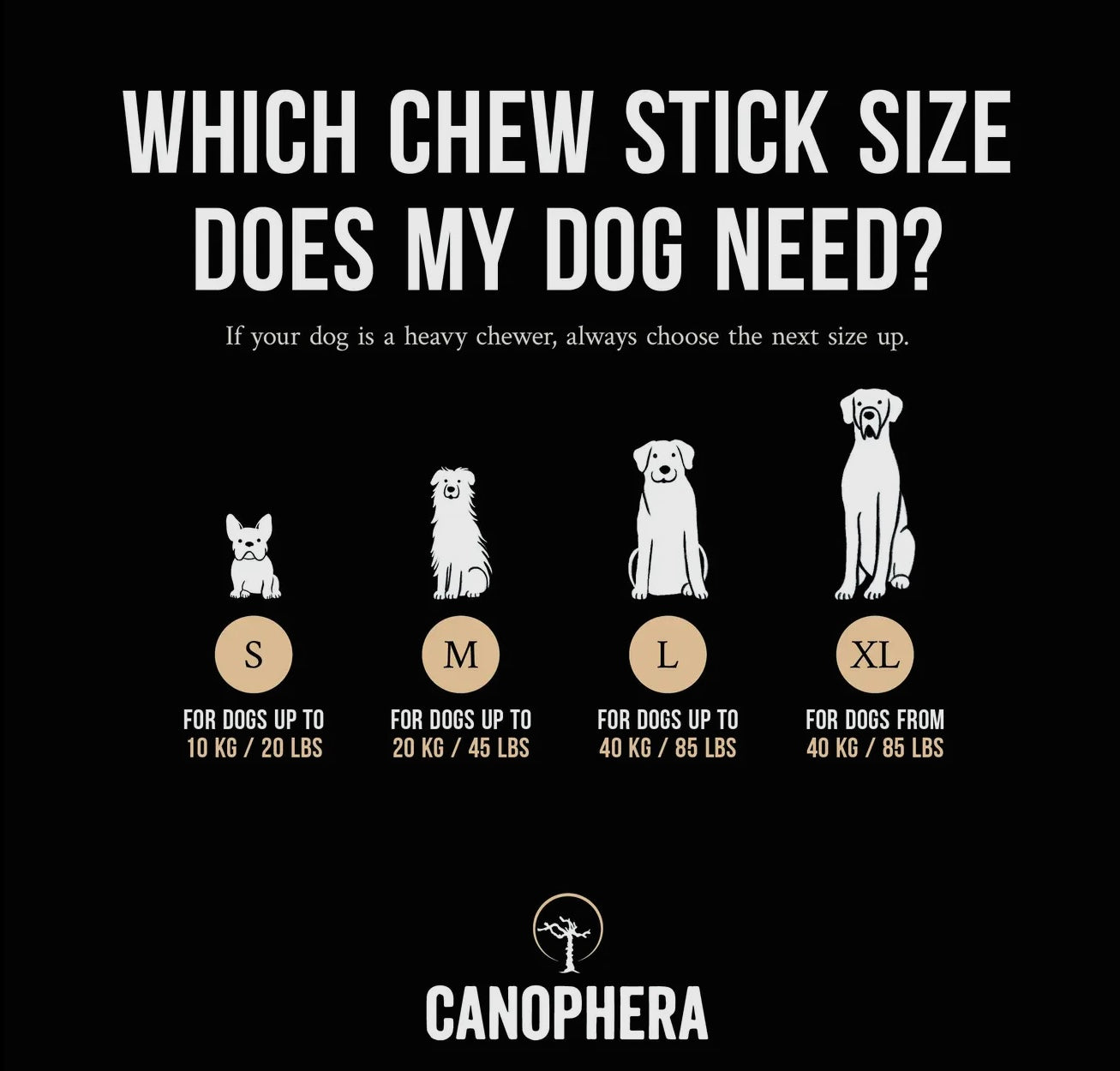 MASTICATION NATURELLE - Bois de café et corde de noix de coco