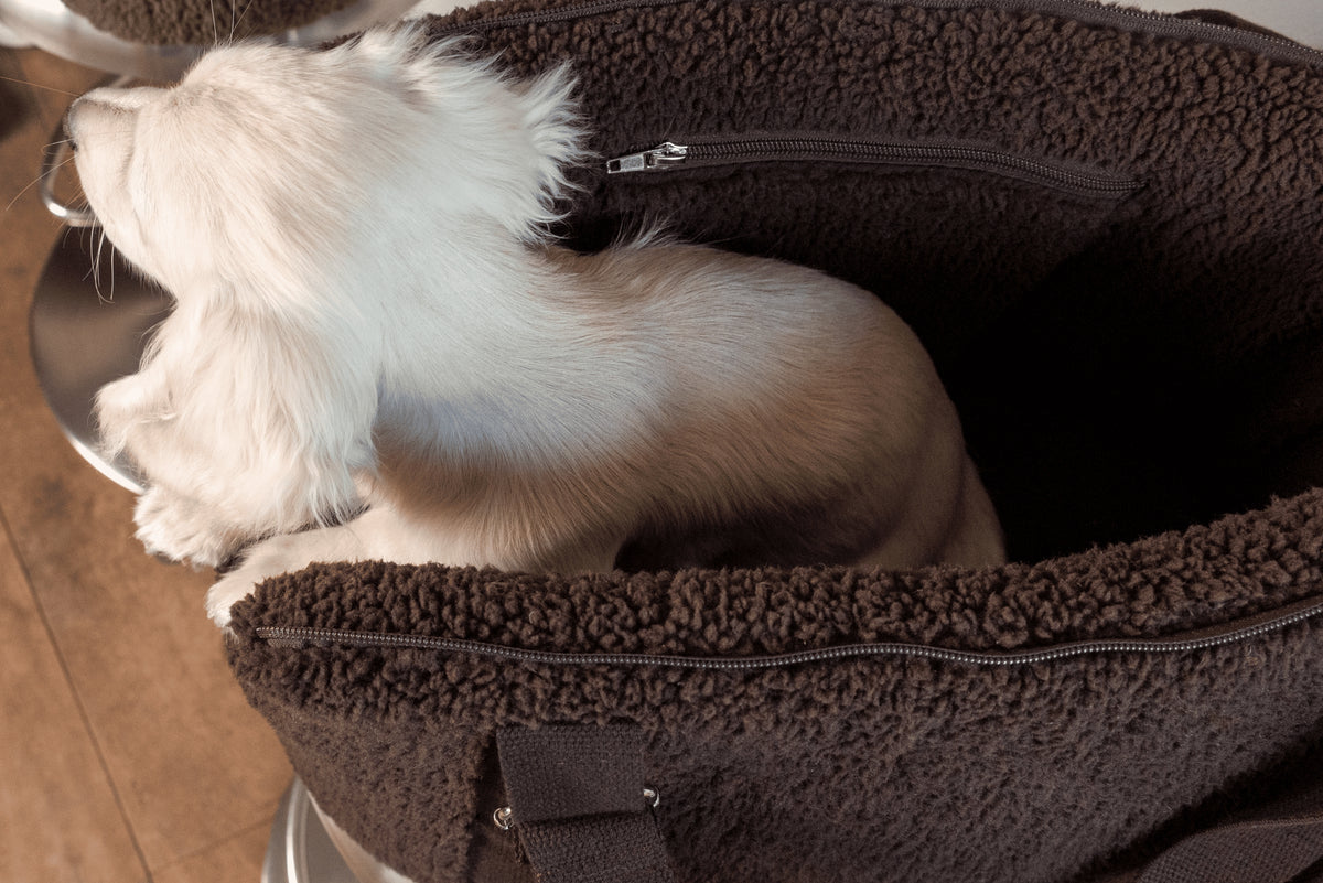 SAC TRANSPORT - Teddy marron