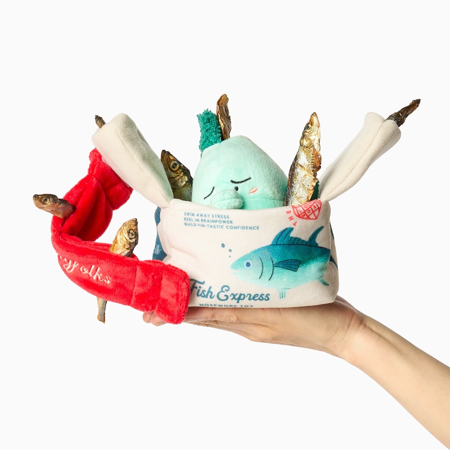 JOUET D’OCCUPATION - Fish express